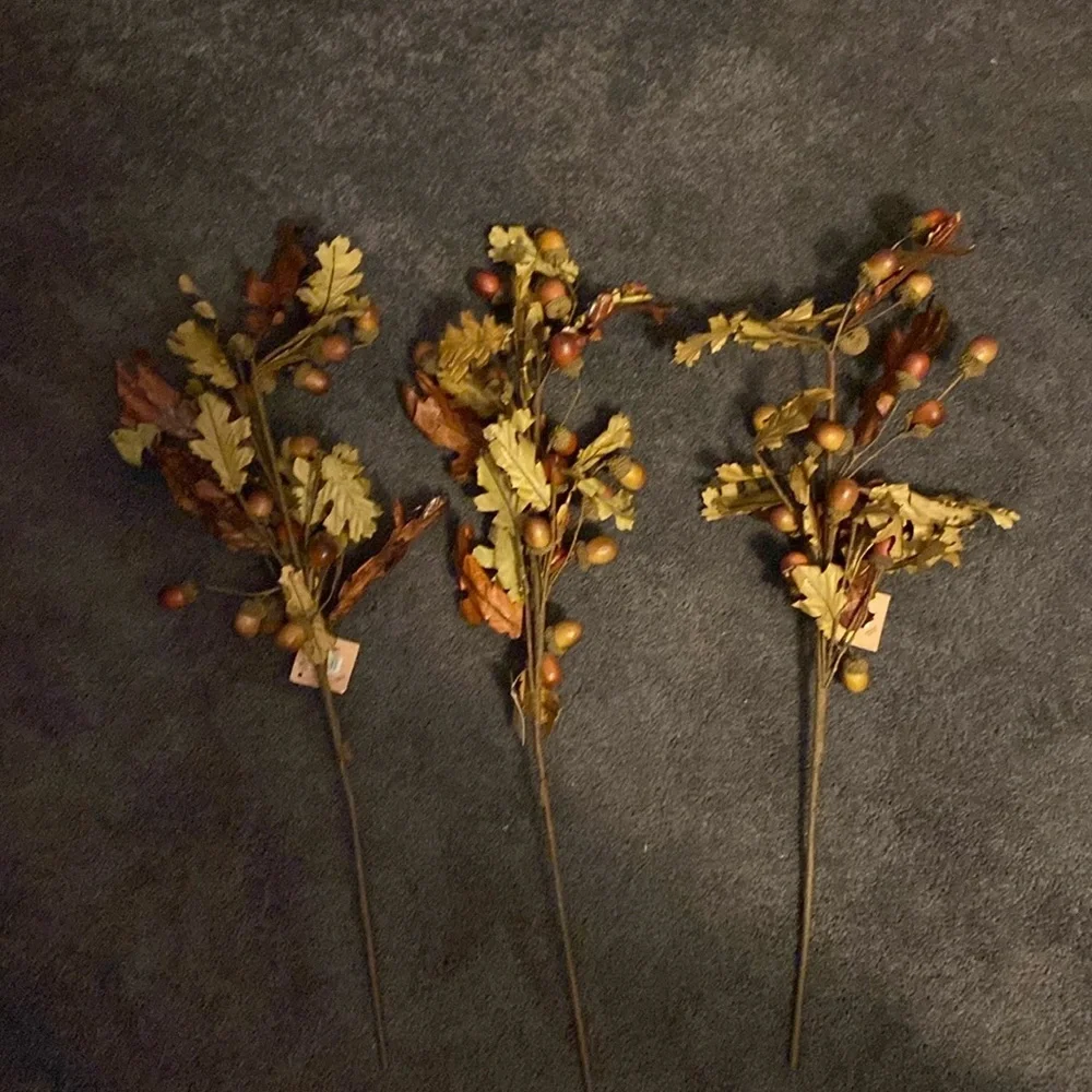 NWT Set of 6 fall acorn picks